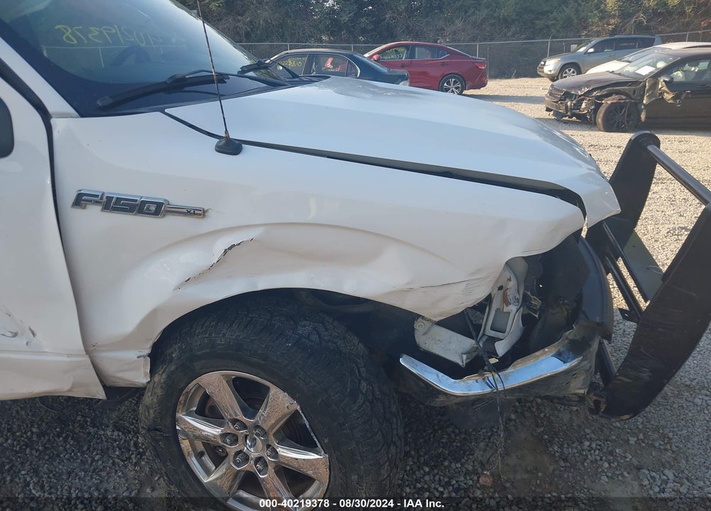 2013 FORD F-150 XL VIN: 1FTFX1EF7DFC57121