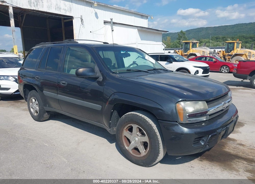 2005 CHEVROLET TRAILBLAZER LS VIN: 1GNDT13S252346498