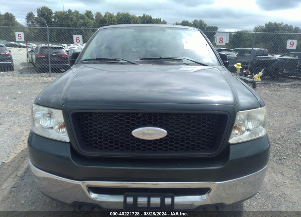 2006 FORD F-150 FX4/LARIAT/XL/XLT VIN: 1FTPX14566FA58173