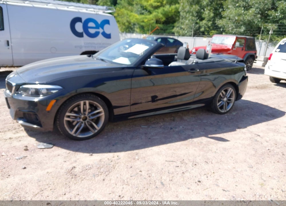 2018 BMW 230I XDRIVE VIN: WBA2K1C55JVD40958