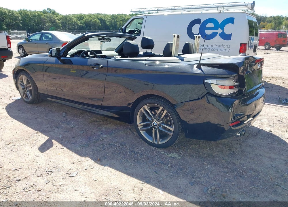 2018 BMW 230I XDRIVE VIN: WBA2K1C55JVD40958