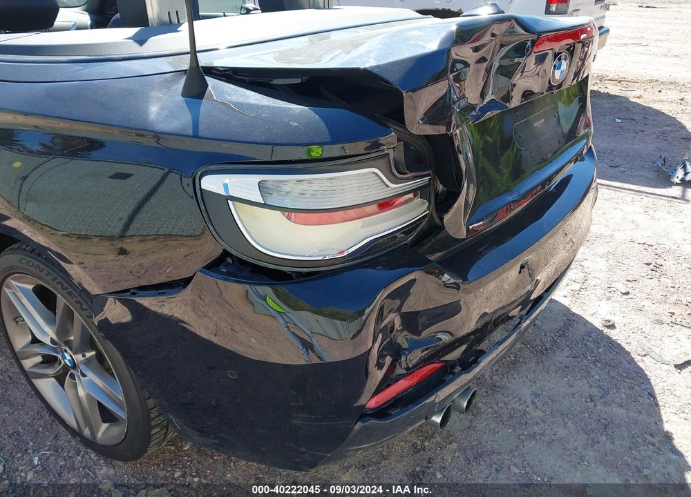 2018 BMW 230I XDRIVE VIN: WBA2K1C55JVD40958