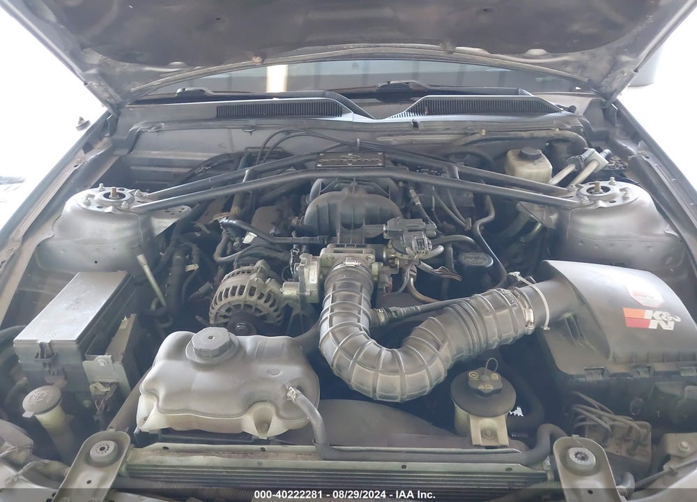 2006 FORD MUSTANG V6 VIN: 1ZVFT80N765234916
