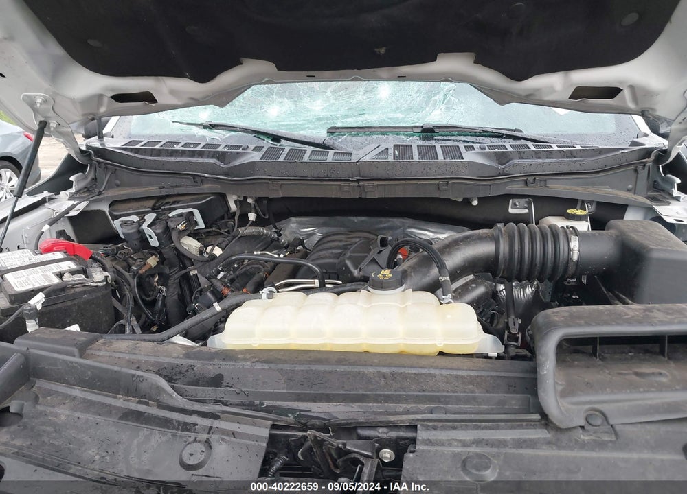 2023 FORD F-150 XLT VIN: 1FTEW1C56PFC48262
