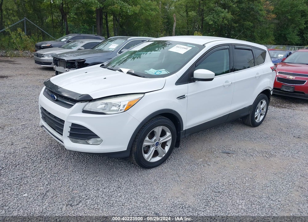2014 FORD ESCAPE SE VIN: 1FMCU0GXXEUA10034