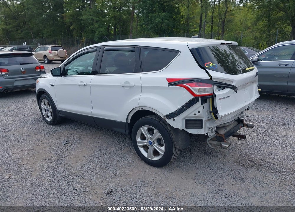 2014 FORD ESCAPE SE VIN: 1FMCU0GXXEUA10034