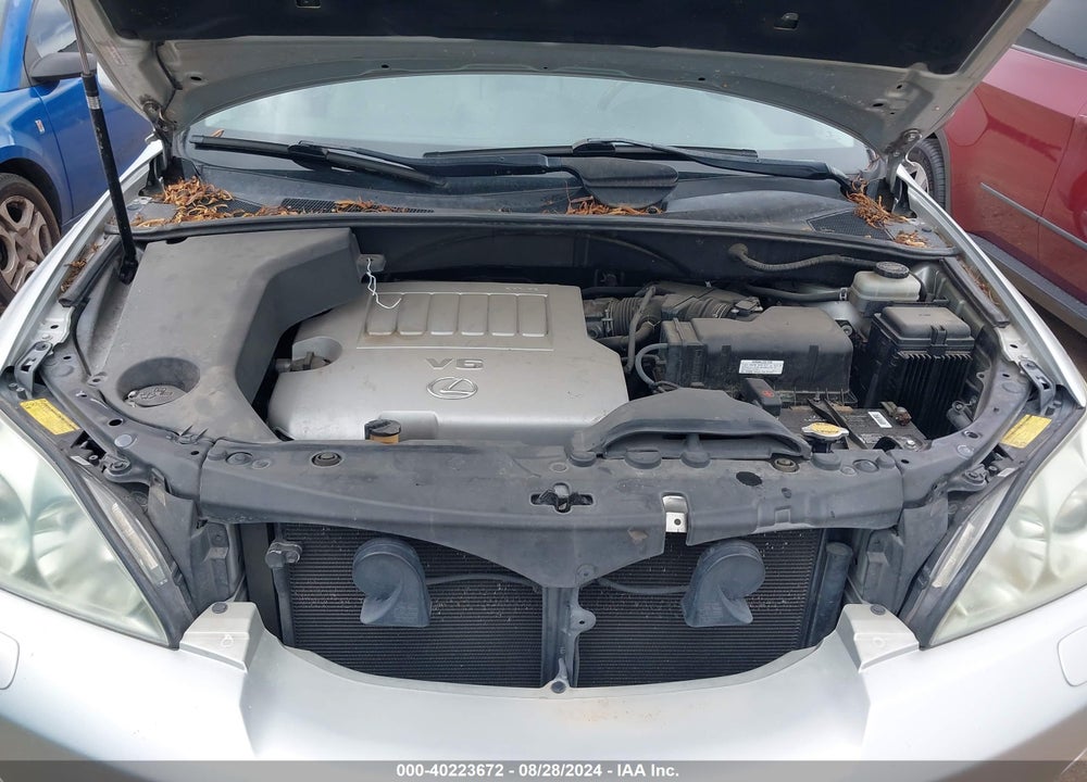 2007 LEXUS RX 350 VIN: JTJGK31U470005348