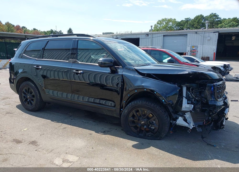 2024 KIA TELLURIDE SX X-PRO VIN: 5XYP5DGC9RG444069