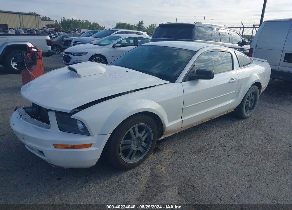 2008 FORD MUSTANG V6 DELUXE/V6 PREMIUM VIN: 1ZVHT80N485207121