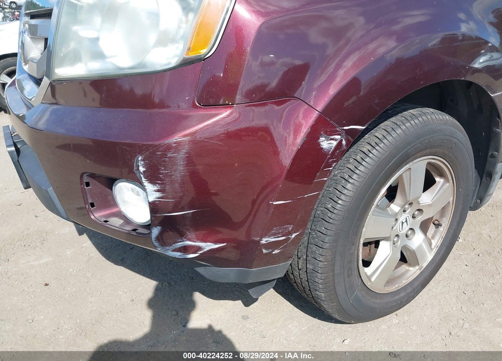 2009 HONDA PILOT EX-L VIN: 5FNYF48539B043397