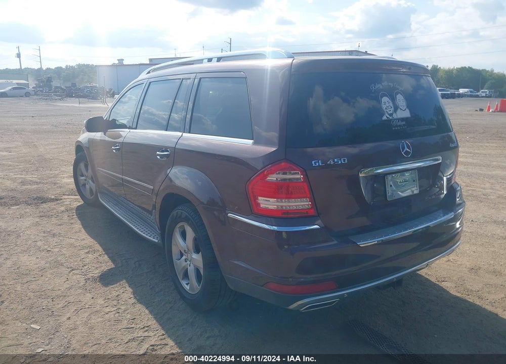 2010 MERCEDES-BENZ GL 450 4MATIC VIN: 4JGBF7BE3AA620163