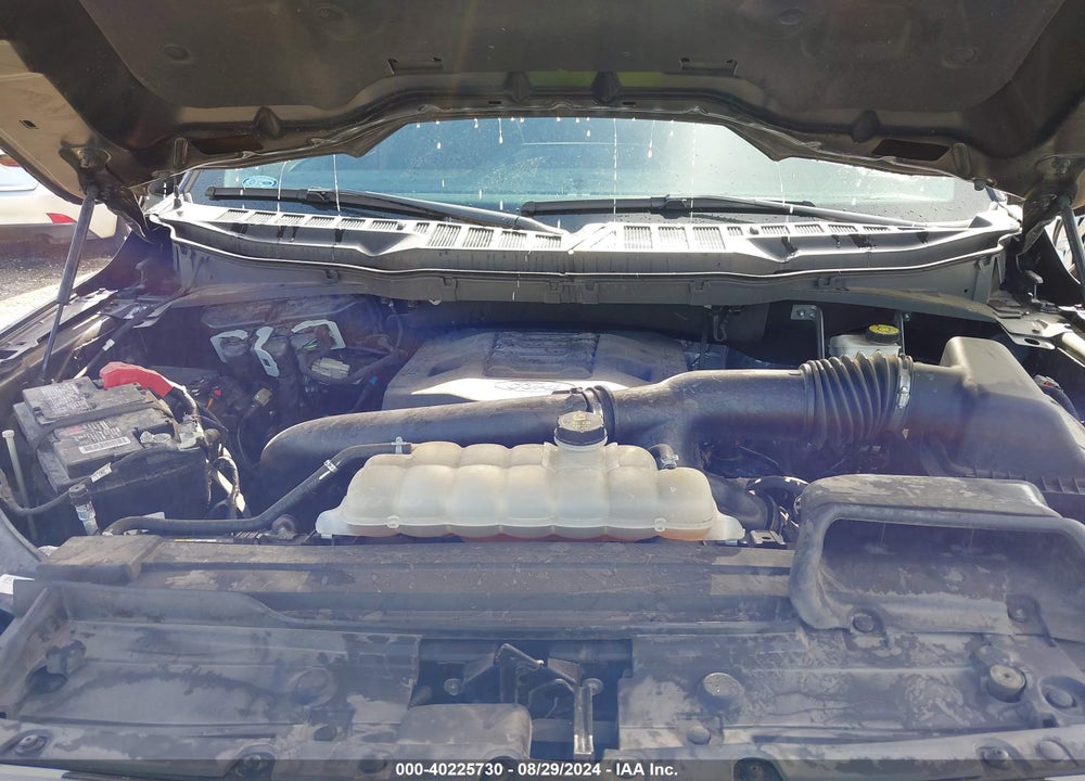 2021 FORD F-150 XLT VIN: 1FTFW1E8XMKD33801