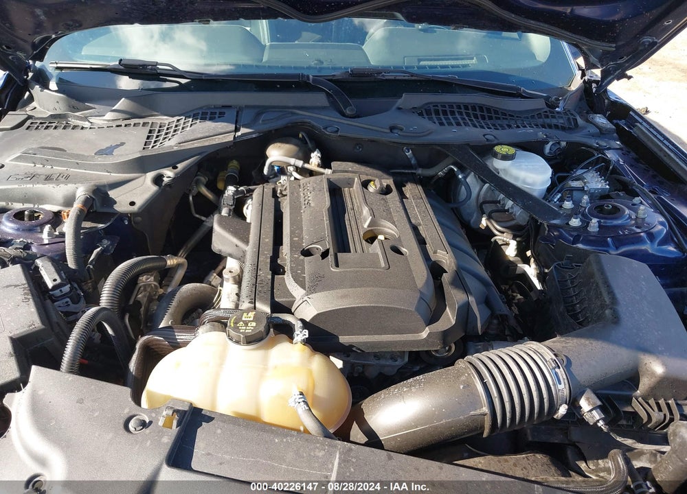 2019 FORD MUSTANG ECOBOOST PREMIUM VIN: 1FATP8UH4K5150700