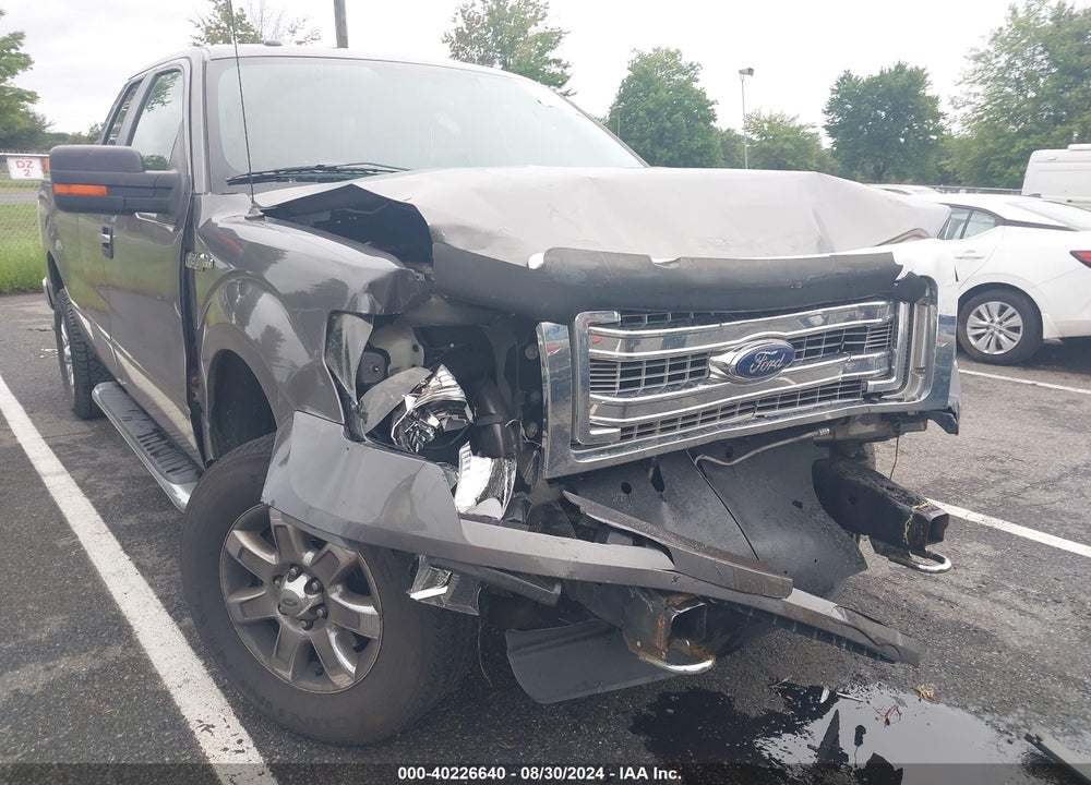 2013 FORD F-150 XLT VIN: 1FTFX1EF5DFB79258