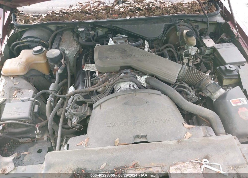 1995 FORD CROWN VICTORIA LX VIN: 2FALP74WXSX194711