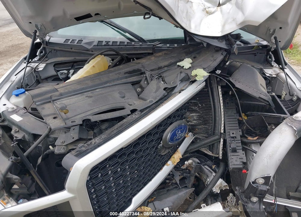 2019 FORD F-150 XL VIN: 1FTEW1EP7KFB59632