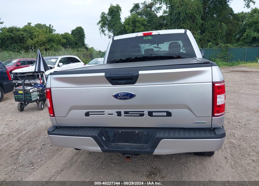2019 FORD F-150 XL VIN: 1FTEW1EP7KFB59632