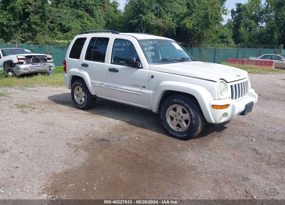 2002 JEEP LIBERTY LIMITED EDITION VIN: 1J4GL58K12W328496