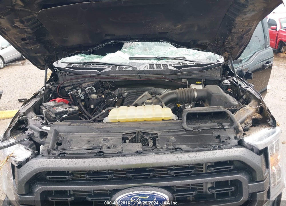 2022 FORD F-150 XLT VIN: 1FTEW1C53NKE60024