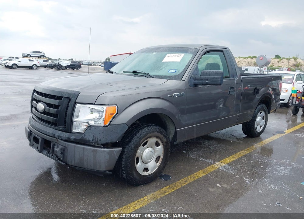 2009 FORD F-150 STX/XL/XLT VIN: 1FTRF12W89KC53419