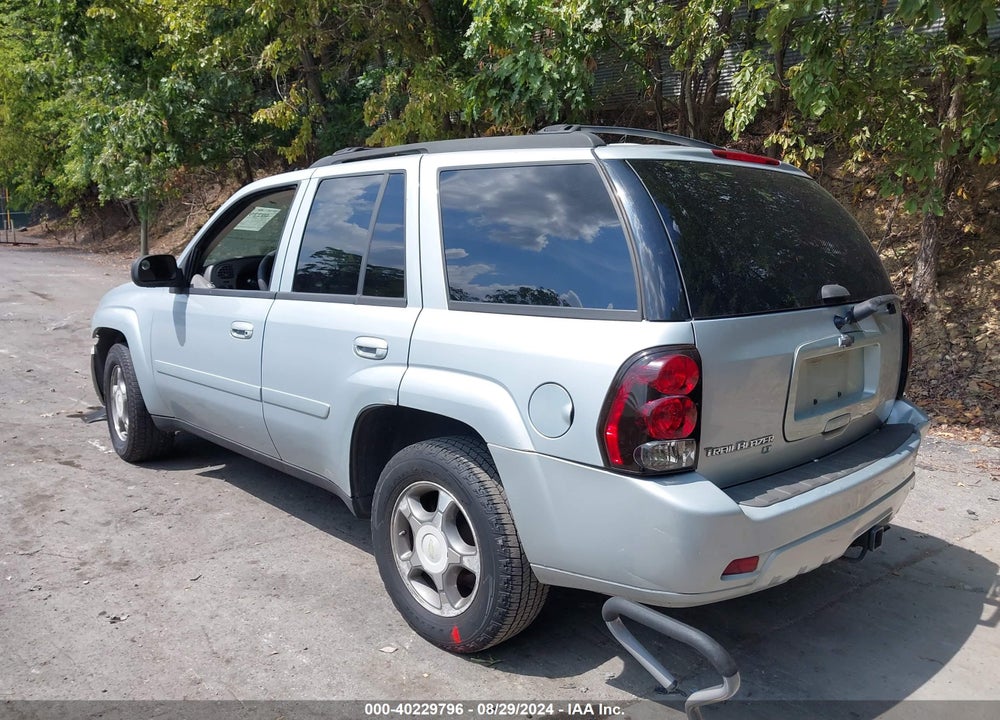 2008 CHEVROLET TRAILBLAZER LT VIN: 1GNDT13S982119006
