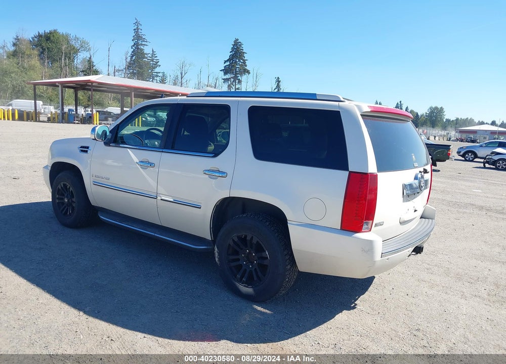 2009 CADILLAC ESCALADE STANDARD VIN: 1GYFK13289R250838