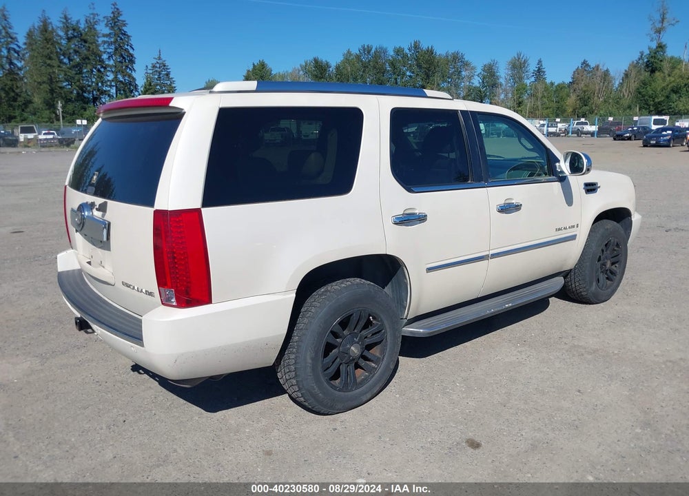 2009 CADILLAC ESCALADE STANDARD VIN: 1GYFK13289R250838