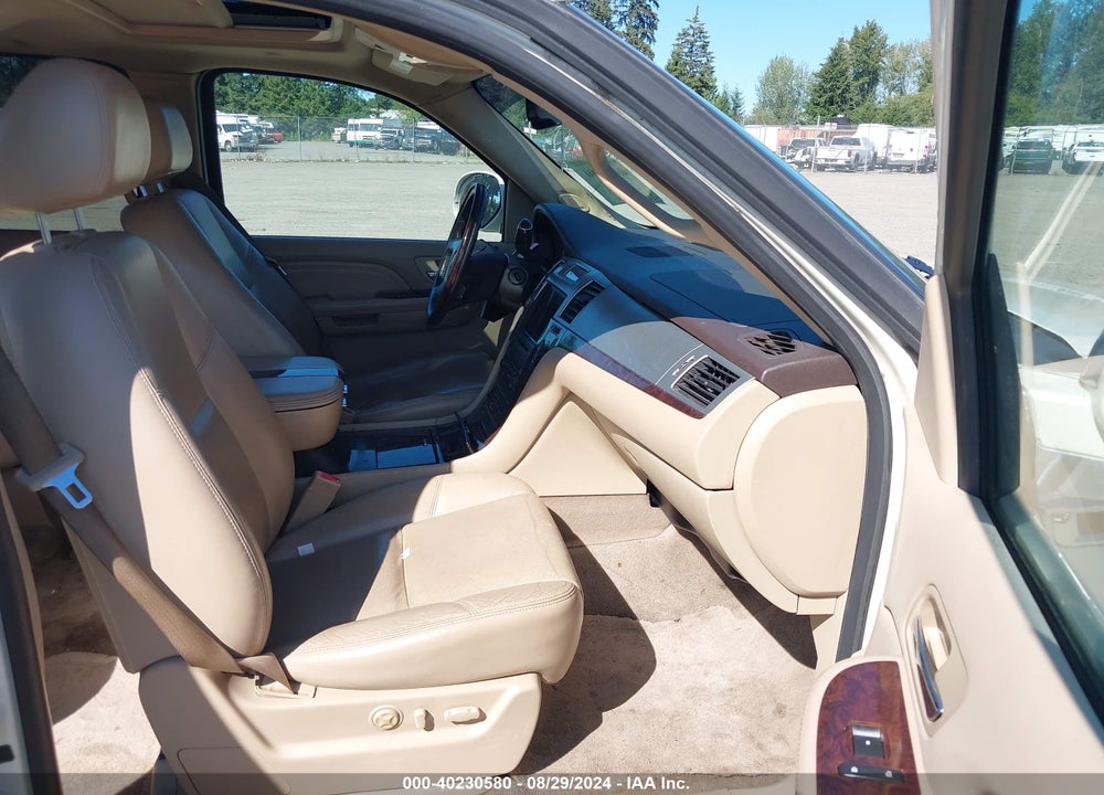 2009 CADILLAC ESCALADE STANDARD VIN: 1GYFK13289R250838