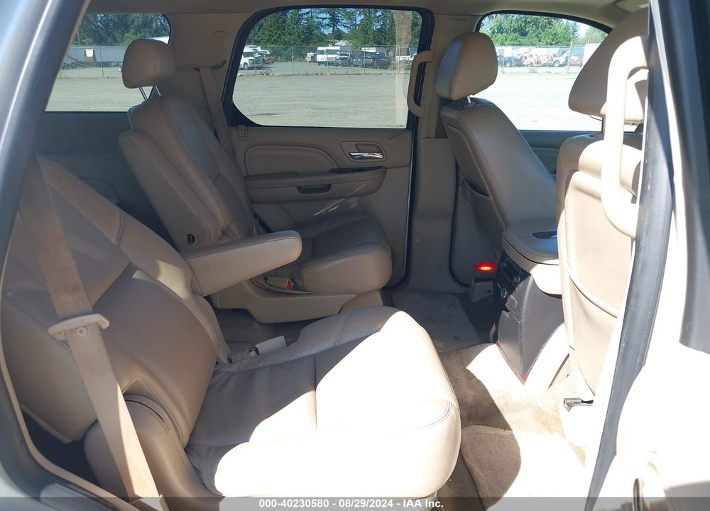 2009 CADILLAC ESCALADE STANDARD VIN: 1GYFK13289R250838
