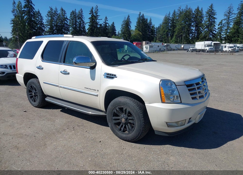 2009 CADILLAC ESCALADE STANDARD VIN: 1GYFK13289R250838