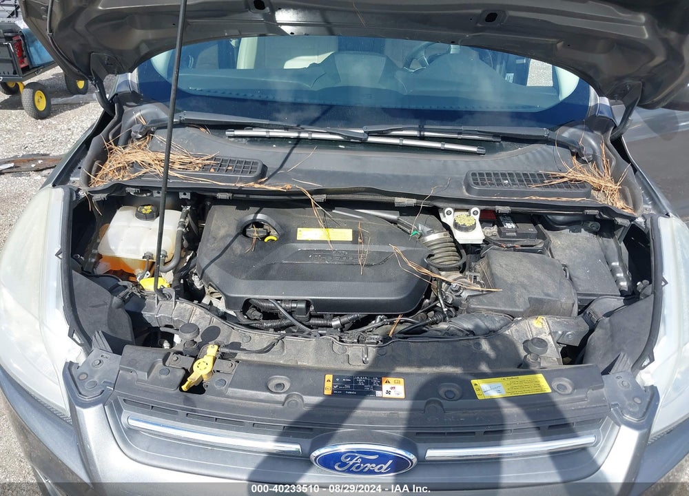 2014 FORD ESCAPE SE VIN: 1FMCU0GX4EUC06082