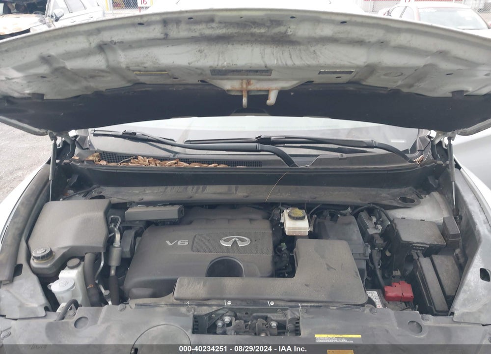 2019 INFINITI QX60 PURE VIN: 5N1DL0MNXKC513932