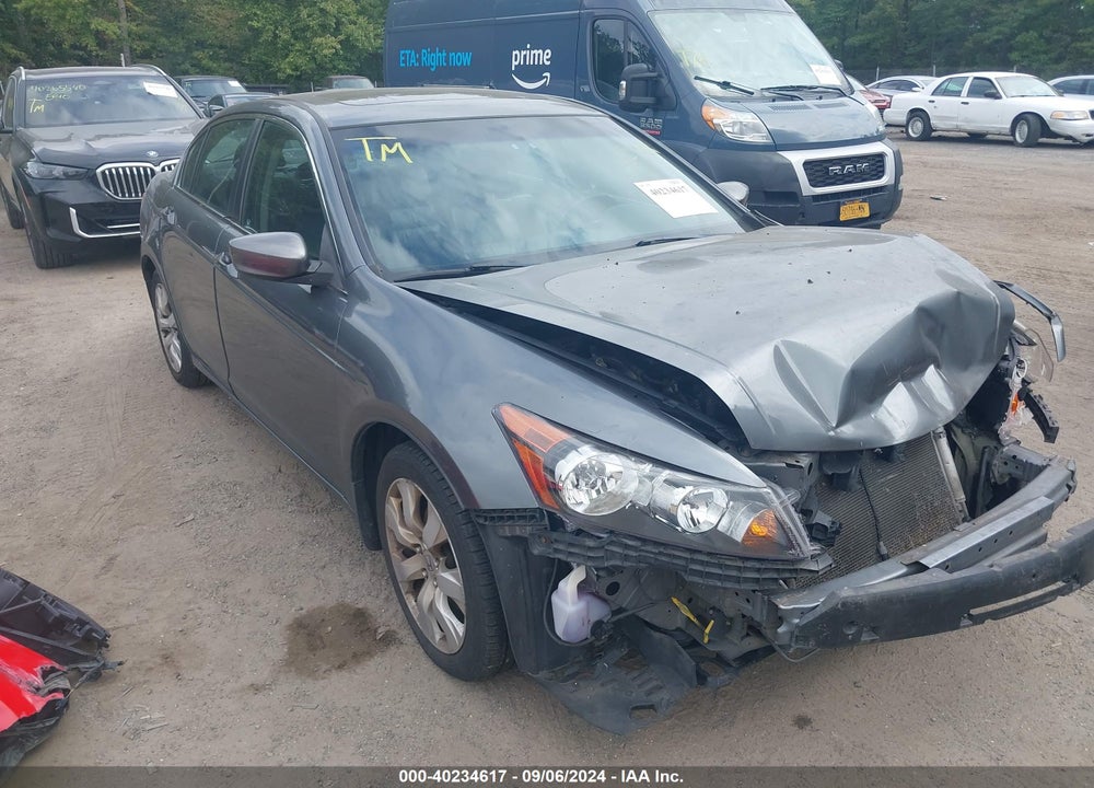 2010 HONDA ACCORD SDN VIN: 1HGCP2F8XAA172695
