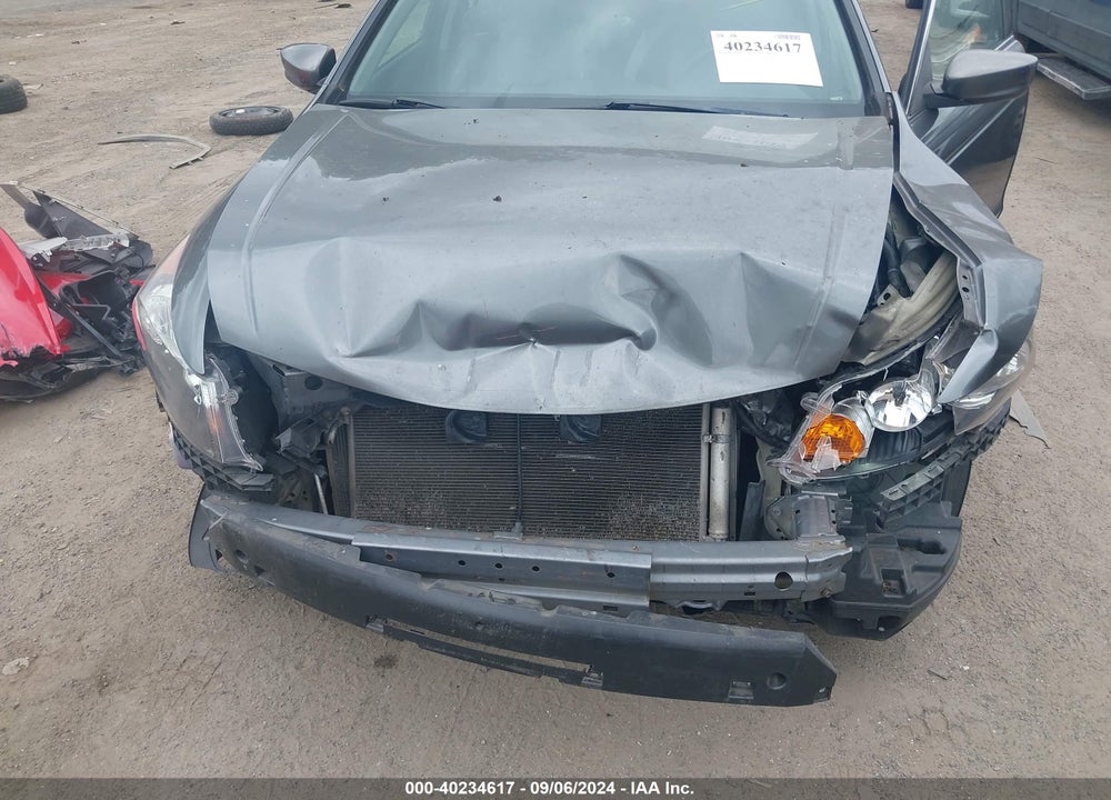 2010 HONDA ACCORD SDN VIN: 1HGCP2F8XAA172695