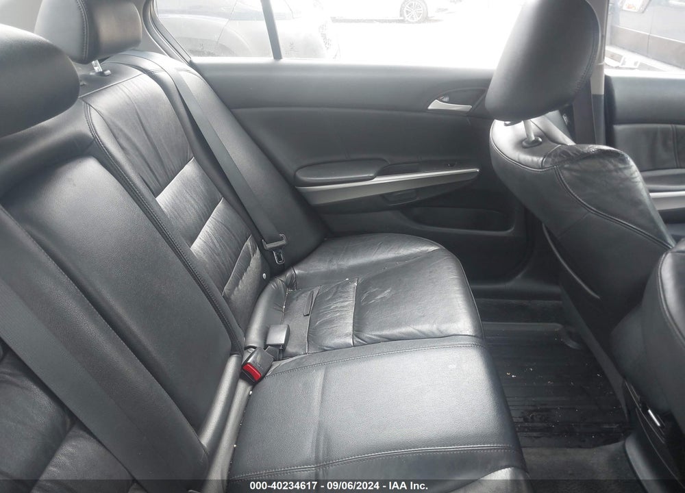 2010 HONDA ACCORD SDN VIN: 1HGCP2F8XAA172695