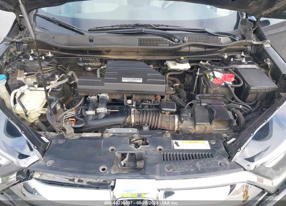 2019 HONDA CR-V VIN: 5J6RW2H5XKL005039