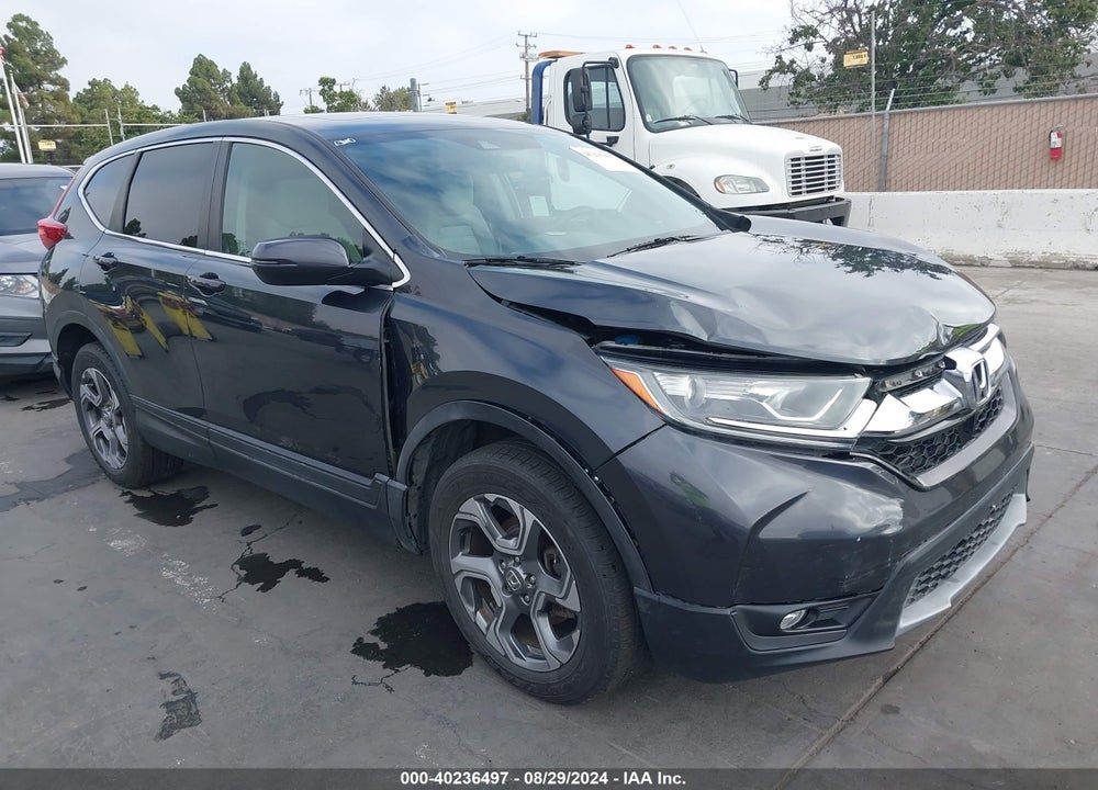 2019 HONDA CR-V VIN: 5J6RW2H5XKL005039