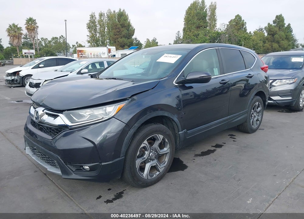 2019 HONDA CR-V VIN: 5J6RW2H5XKL005039