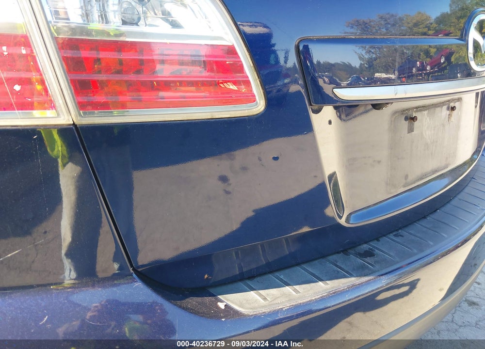 2010 MAZDA CX-9 VIN: JM3TB3MV1A0217502