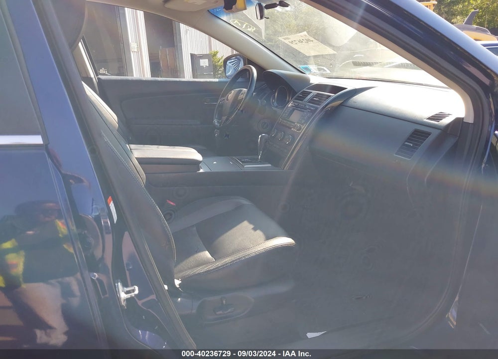 2010 MAZDA CX-9 VIN: JM3TB3MV1A0217502