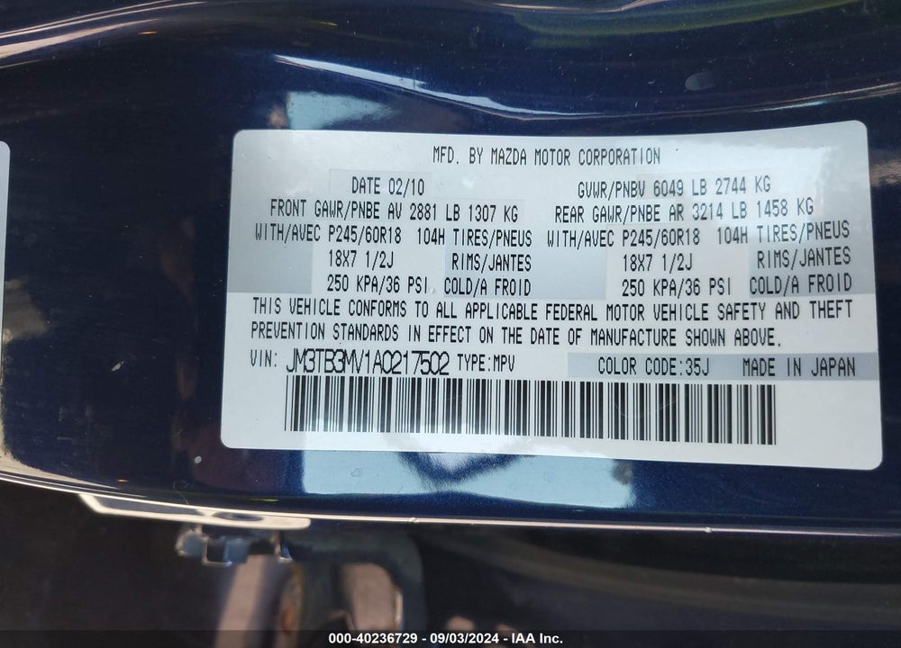 2010 MAZDA CX-9 VIN: JM3TB3MV1A0217502