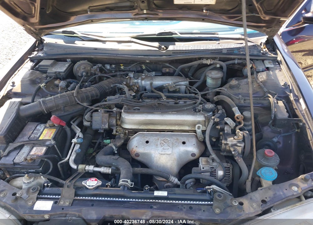 1997 HONDA ACCORD SE VIN: 1HGCD5602VA132430