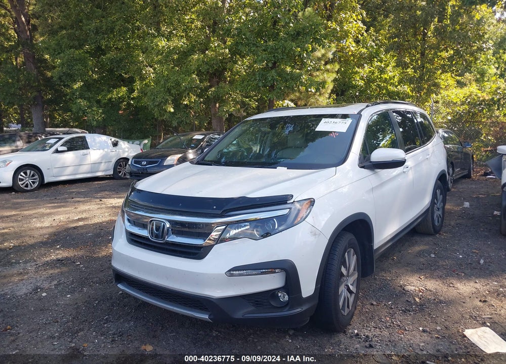 2021 HONDA PILOT 2WD EX-L VIN: 5FNYF5H59MB011651