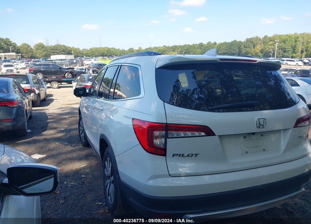 2021 HONDA PILOT 2WD EX-L VIN: 5FNYF5H59MB011651