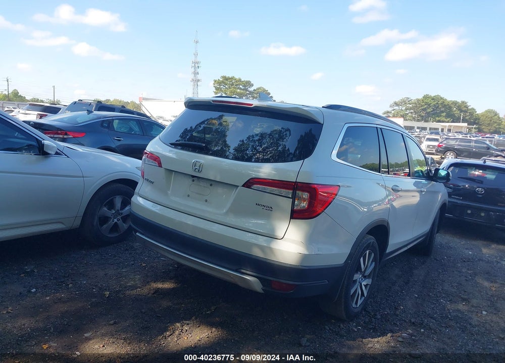2021 HONDA PILOT 2WD EX-L VIN: 5FNYF5H59MB011651