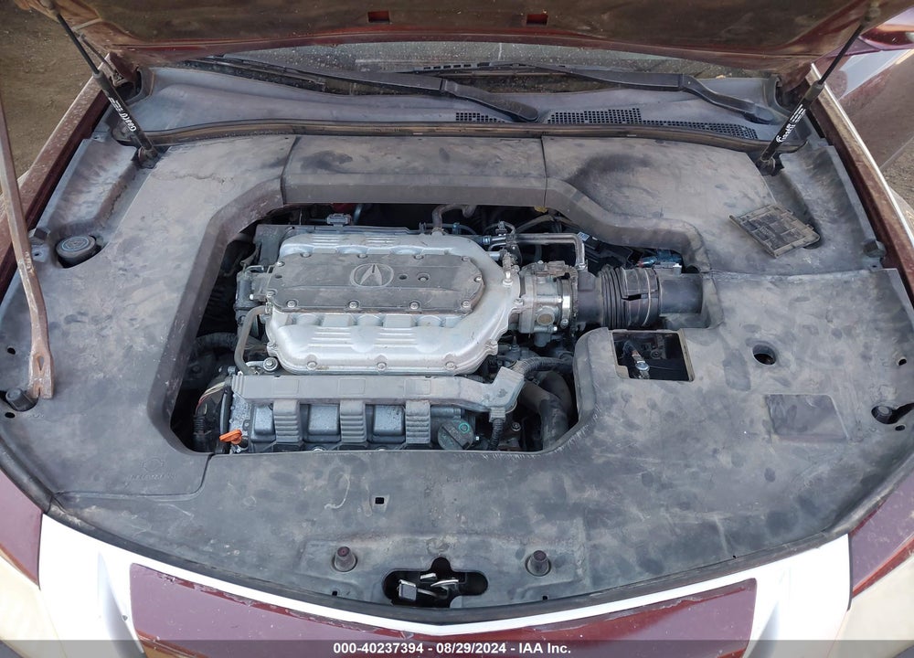 2009 ACURA TL 3.5 VIN: 19UUA86559A006921