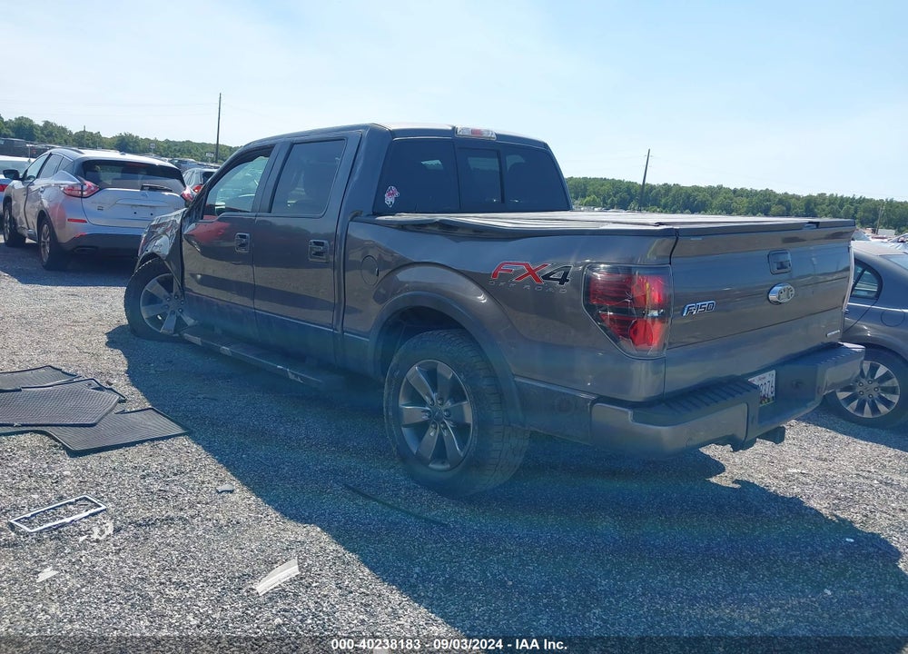 2013 FORD F-150 FX4 VIN: 1FTFW1EF0DKE53802