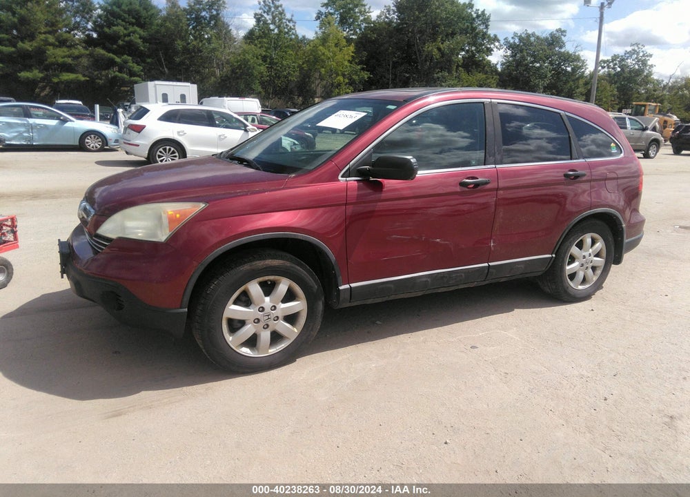 2009 HONDA CR-V VIN: 5J6RE48599L054466