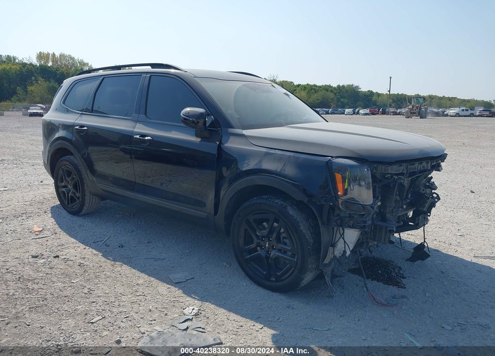 2024 KIA TELLURIDE EX X-LINE VIN: 5XYP3DGC6RG451552