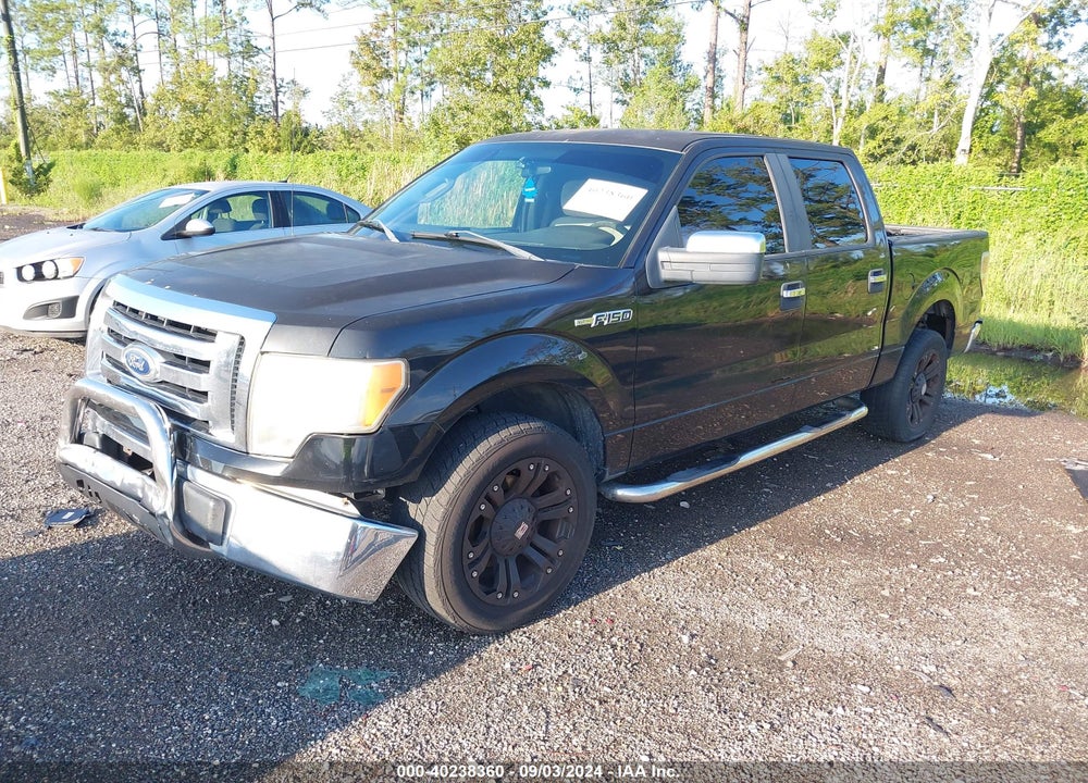 2010 FORD F-150 XLT VIN: 1FTEW1C83AKA16808